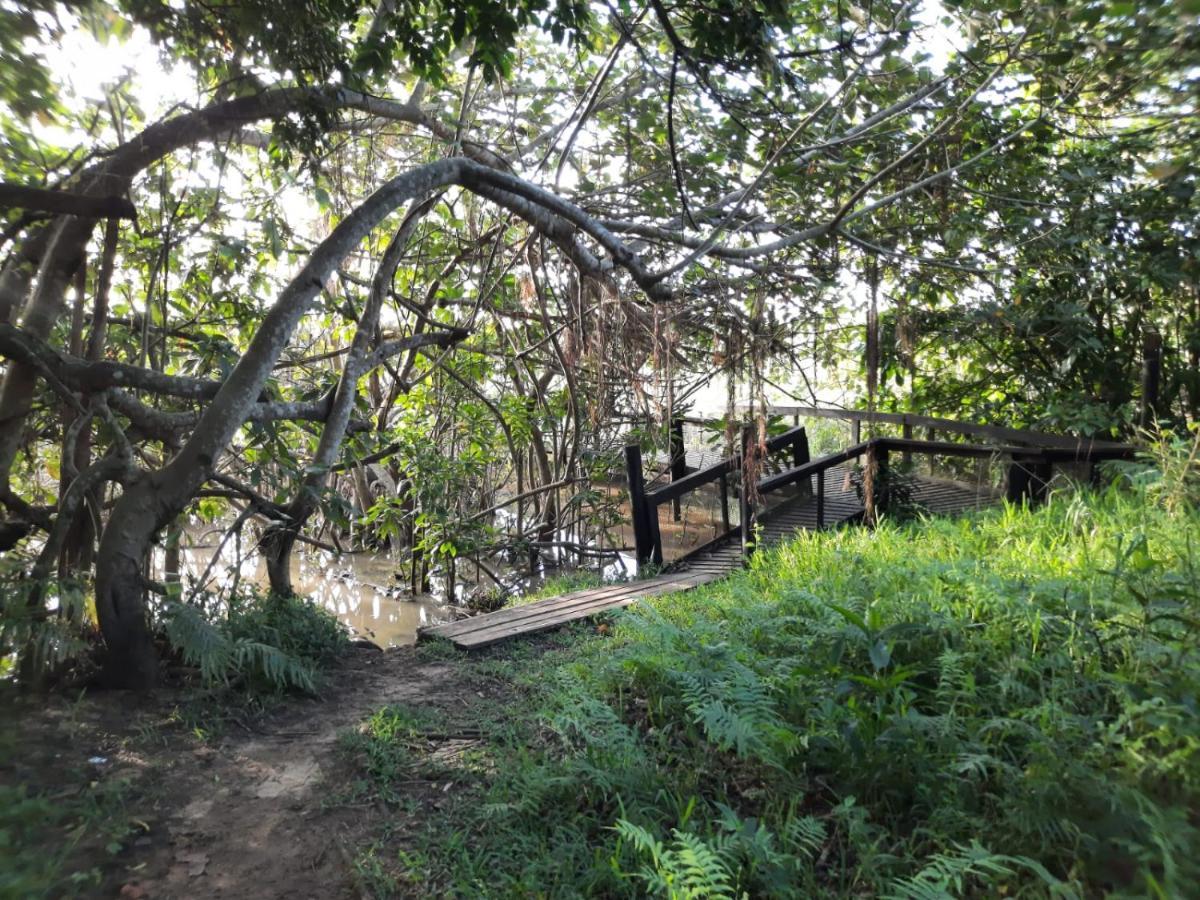 דירות 18 The Bridge, Saint Lucia Estuary מראה חיצוני תמונה